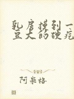 乳房摸到一个黄豆大的硬疙瘩