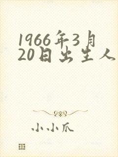 1966年3月20日出生人命运