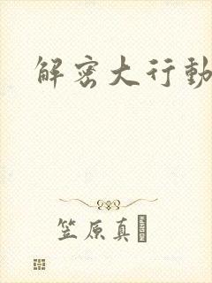 解密大行动