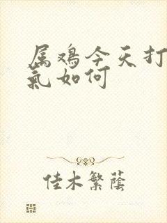 属鸡今天打牌运气如何