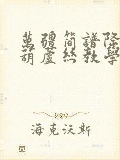 万疆简谱降b调葫芦丝教学版封面