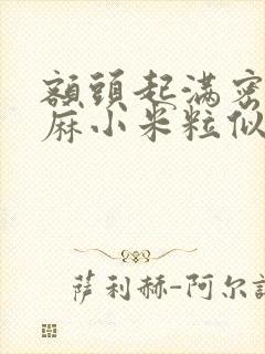 额头起满密密麻麻小米粒似的痘痘