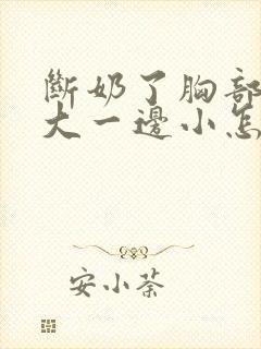 断奶了胸部一边大一边小怎么办封面