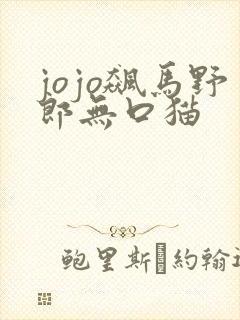 jojo飙马野郎无口猫封面