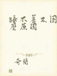 睡不着又困是什么原因