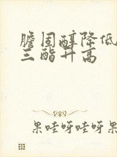 胆固醇降低甘油三酯升高封面