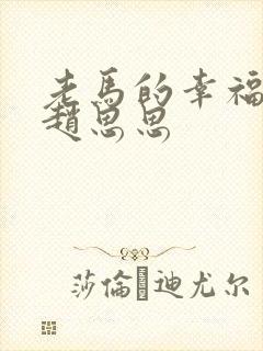 老马的幸福生活赵思思