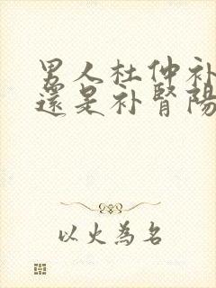 男人杜仲补肾气还是补肾阳