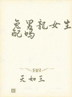 兔男龙女生肖相配吗封面