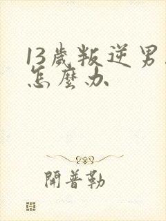 13岁叛逆男孩怎么办封面