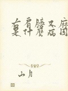 右肩膀又麻又疼是什么病因