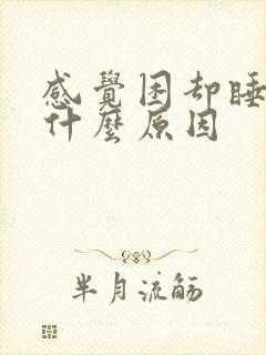 感觉困却睡不着什么原因