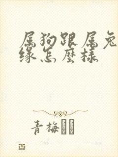 属狗跟属兔的姻缘怎么样封面