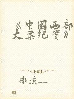 《中国西部刑侦大案纪实》纪录片