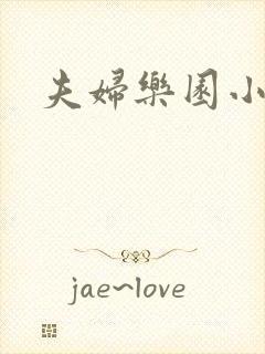 夫妇乐园小说