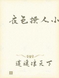 夜色撩人小说