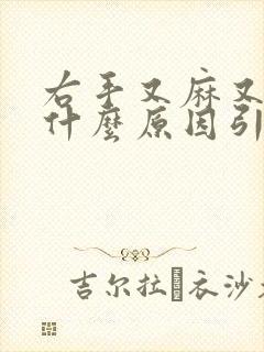 右手又麻又疼是什么原因引起的