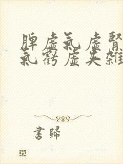 脾虚气虚肾精肾气亏虚夹杂有湿热