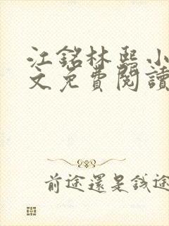 江铭林熙小说全文免费阅读封面