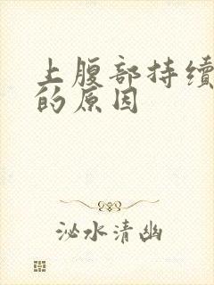 上腹部持续疼痛的原因