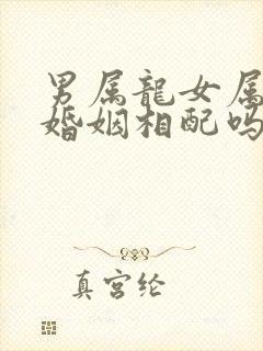 男属龙女属兔的婚姻相配吗