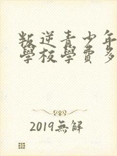 叛逆青少年特训学校学费多少