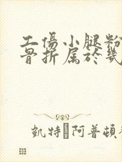 工伤小腿粉碎性骨折属于几级伤残封面