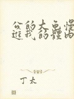 公的大龟慢慢挺进我的体内