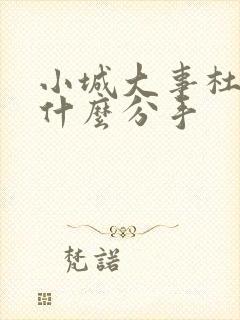 小城大事杜涛为什么分手