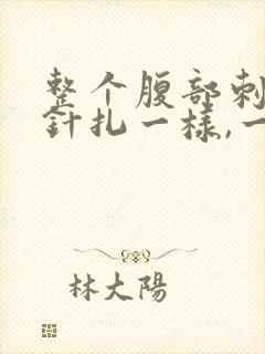 整个腹部刺痛像针扎一样,一阵一阵的疼