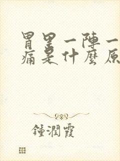 胃里一阵一阵的痛是什么原因封面