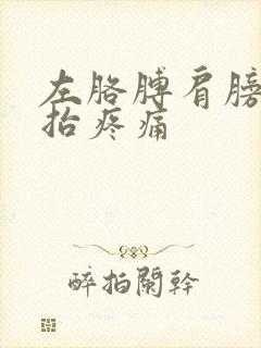 左胳膊肩膀往上抬疼痛