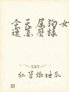 今天属狗女的财运怎么样