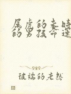 属虎的未时出生的男孩命运