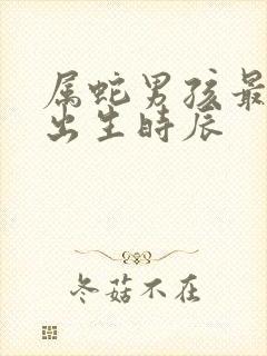 属蛇男孩最好的出生时辰