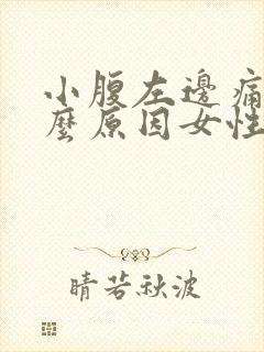 小腹左边痛是什么原因女性