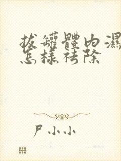 拔罐体内湿气重怎样祛除封面