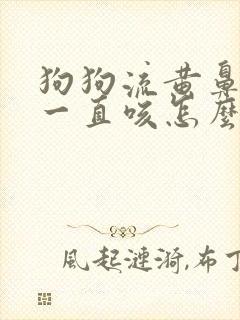 狗狗流黄鼻涕了一直咳怎么办