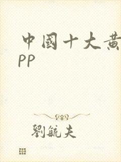 中国十大黄片app