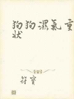 狗狗湿气重的症状封面