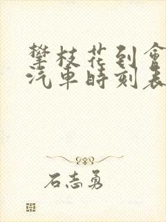 攀枝花到会理的汽车时刻表和票价