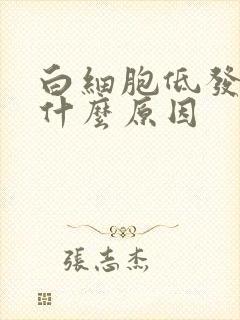 白细胞低发烧是什么原因