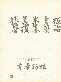 膝盖半月板老化磨损怎么治疗最好