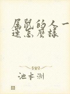 属鼠的人一生命运怎么样封面