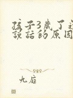 孩子3岁了还不说话的原因