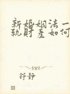 新婚姻法一方出轨财产如何分割封面