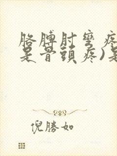 胳膊肘弯疼(不是骨头疼)是怎么回事封面