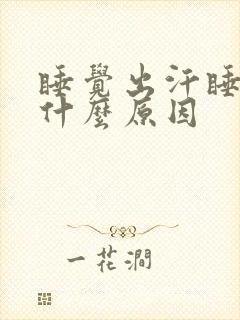 睡觉出汗睡不着什么原因