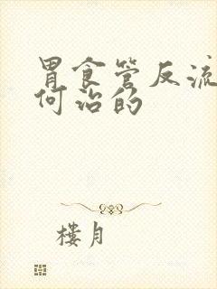 胃食管反流是如何治的