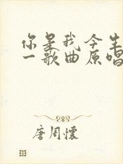 你是我今生的唯一歌曲原唱